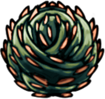 Thorns of Agony