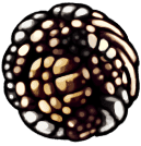 Fragile/Unbreakable Greed