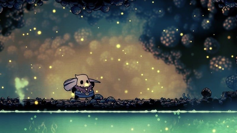 Cloth hollow knight
