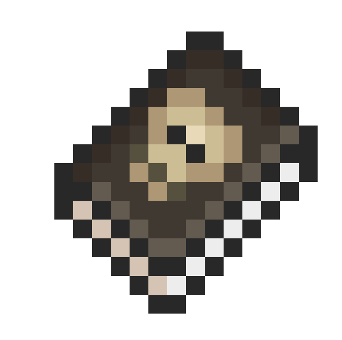 Book of Skulls Terraria