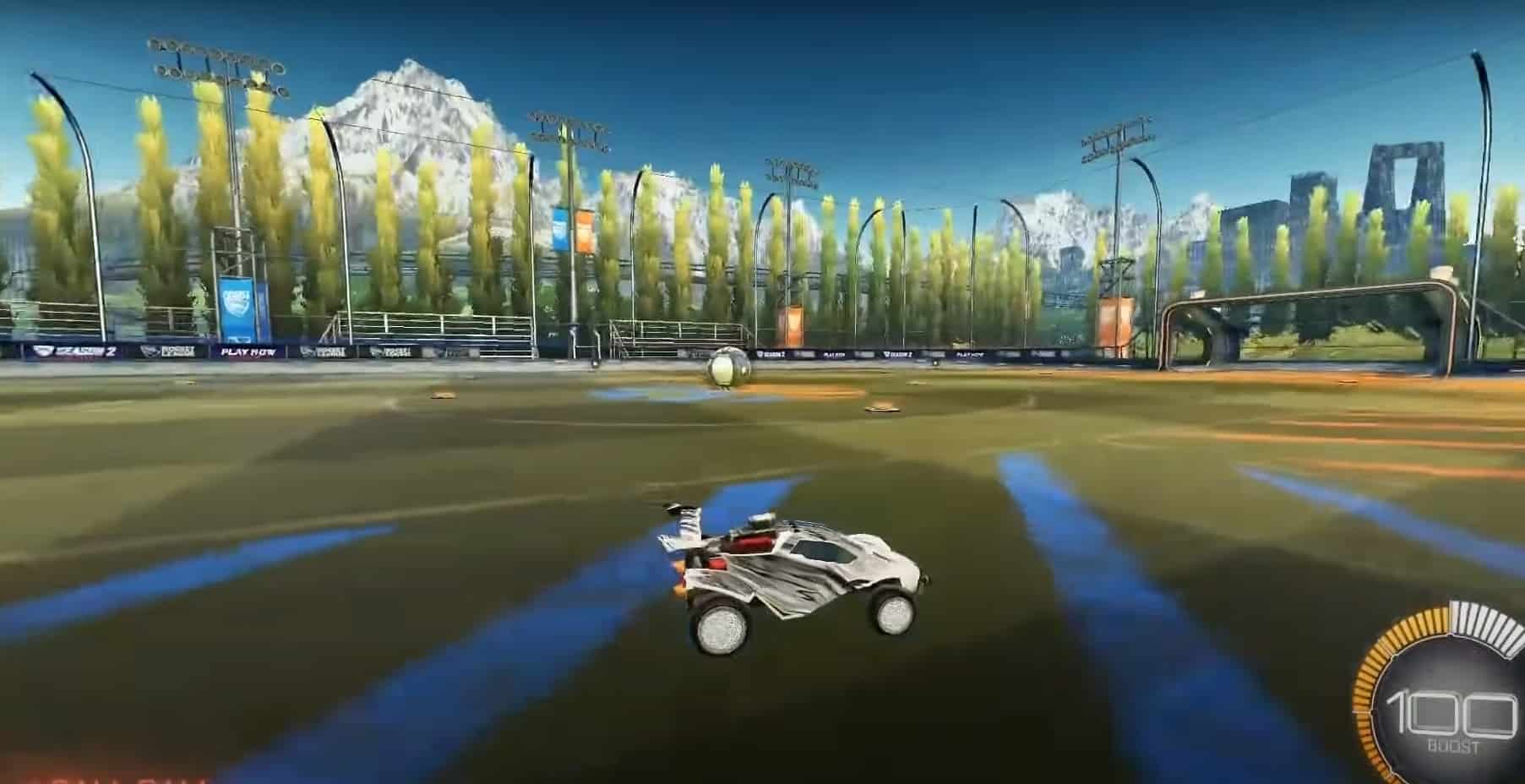 ball cam