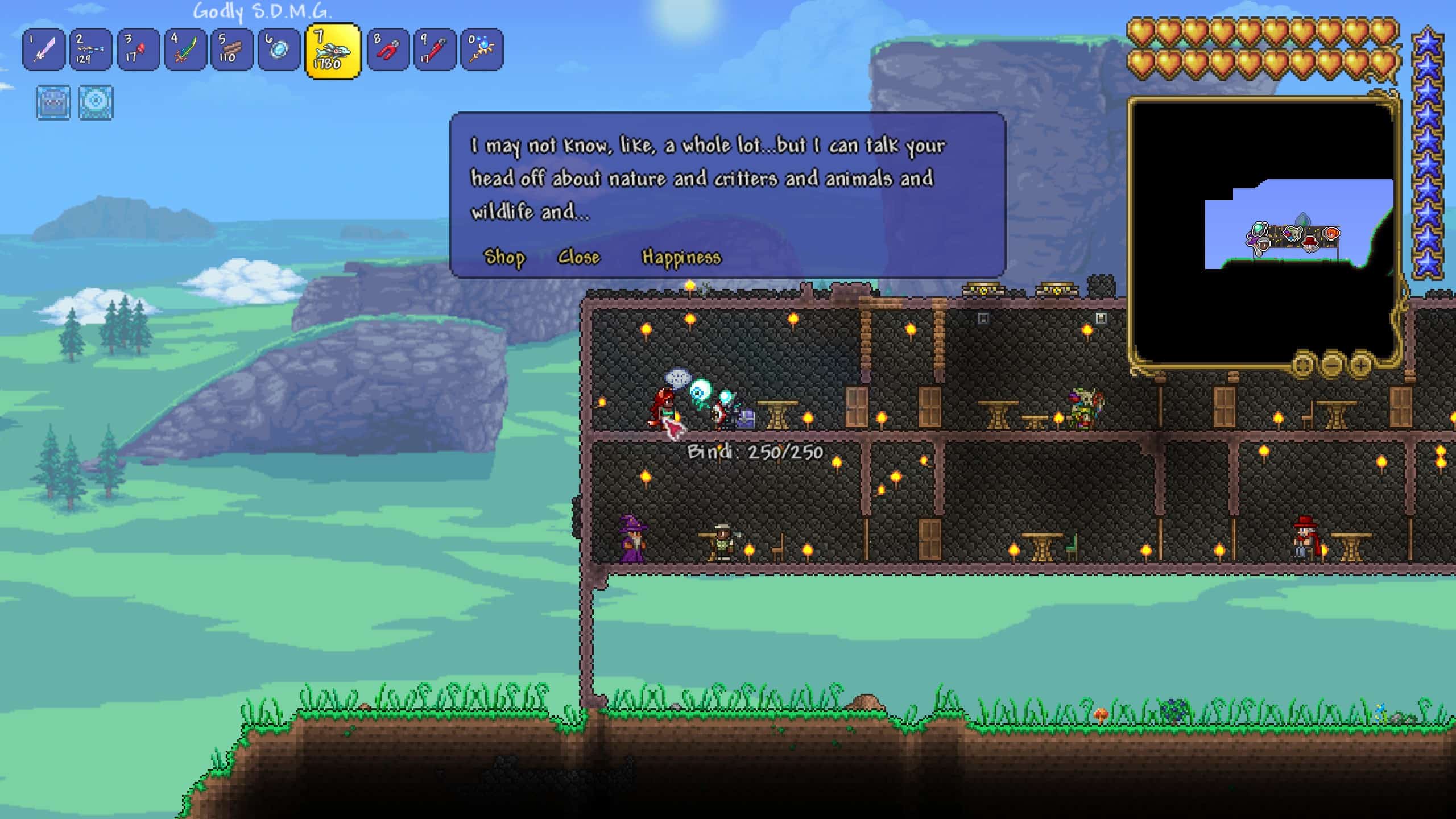 zoologist Bestiary terraria