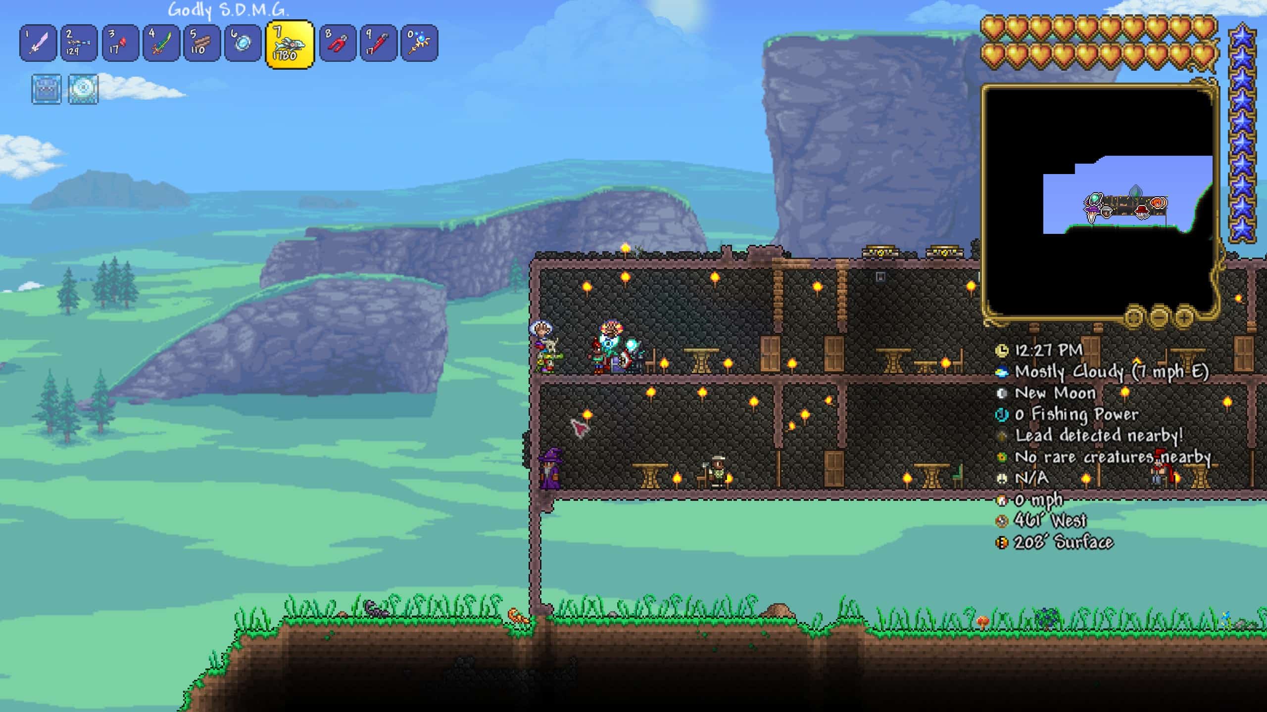 terraria witch doctor