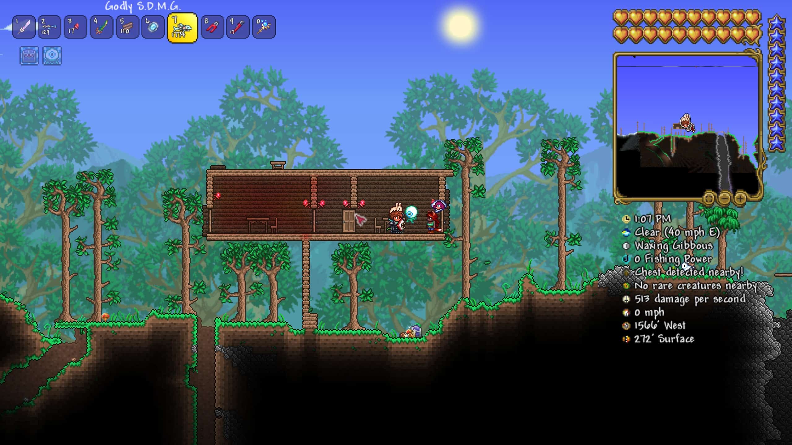 biome forest Housing Strategy