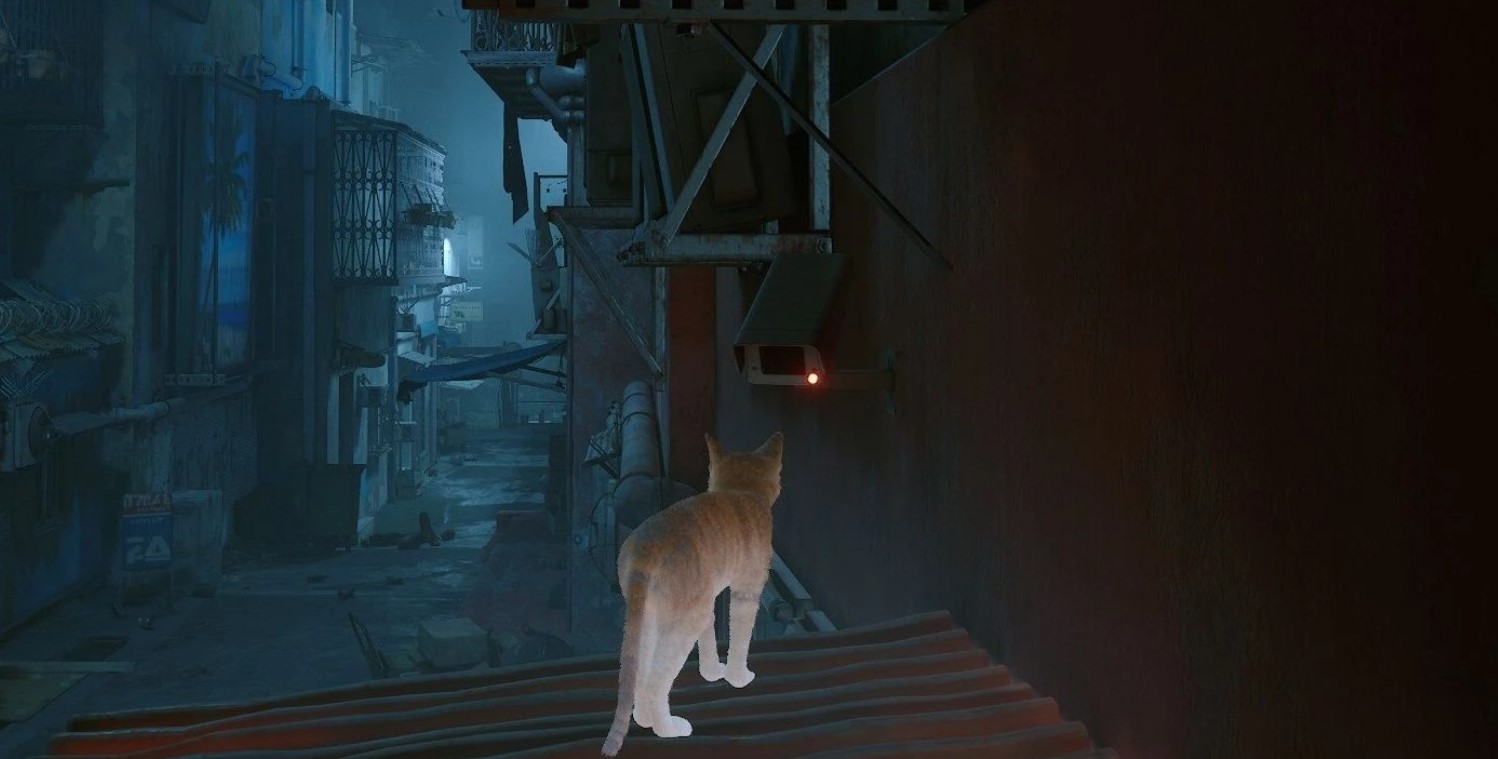 stray the slums