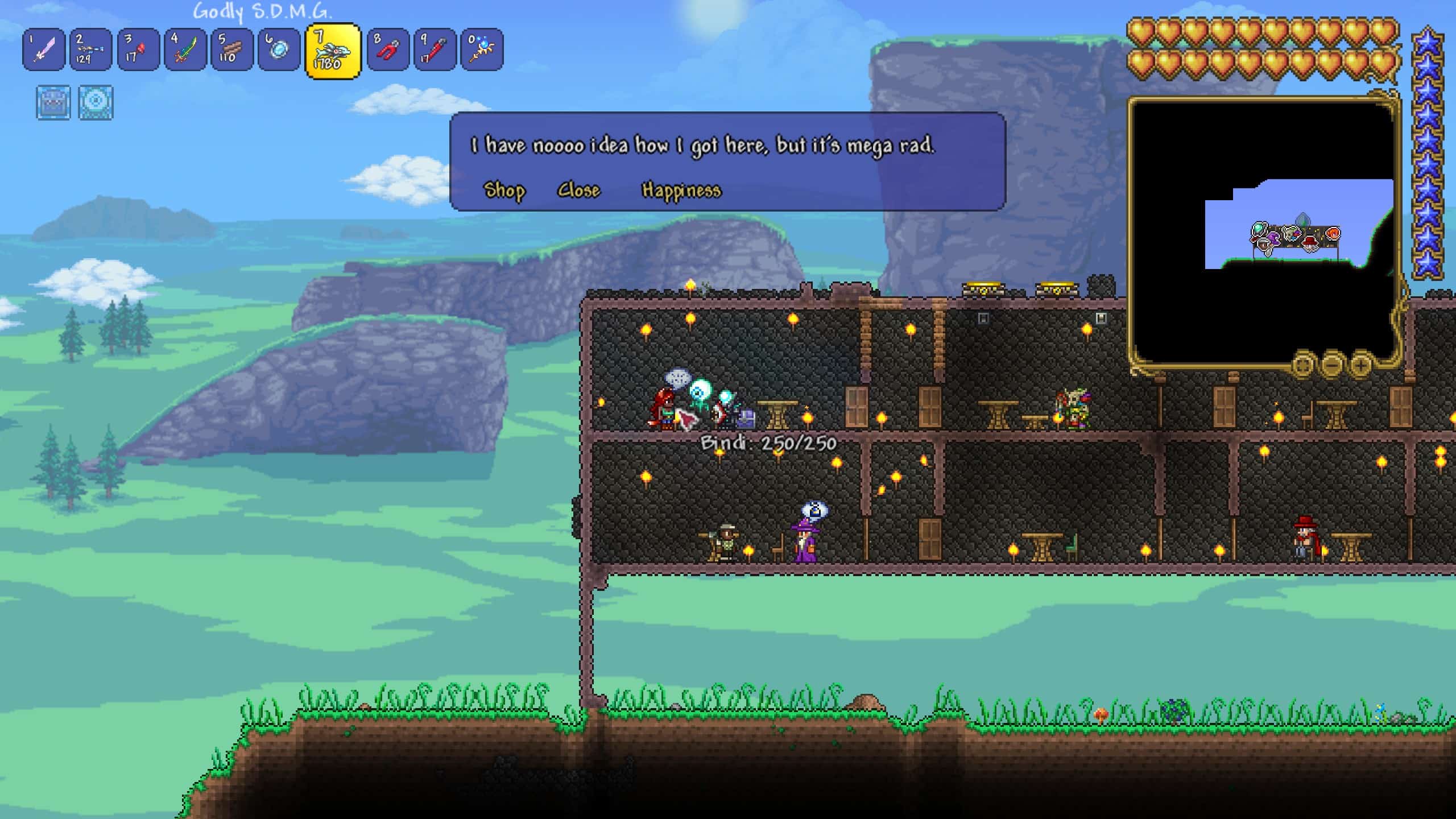 terraria zoologist summoning