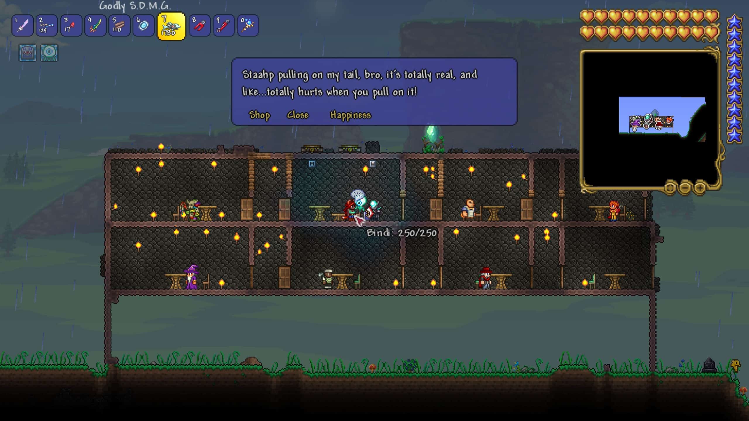 terraria zoologist