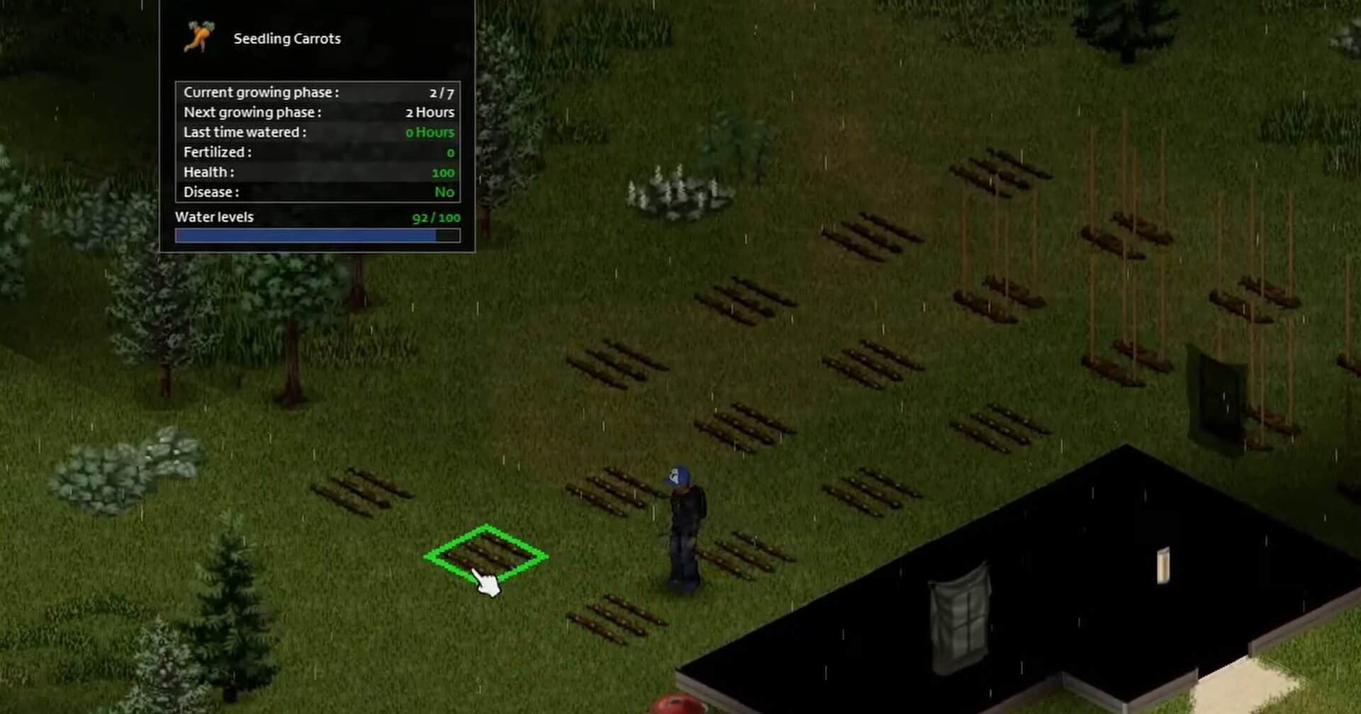 project zomboid seeding carrots