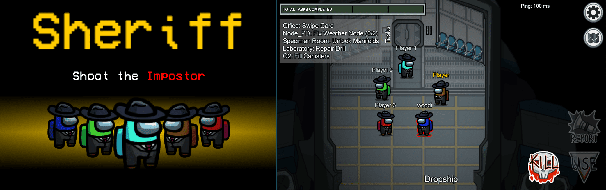 sheriff role