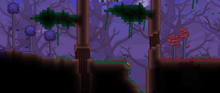 the drunk seed terraria