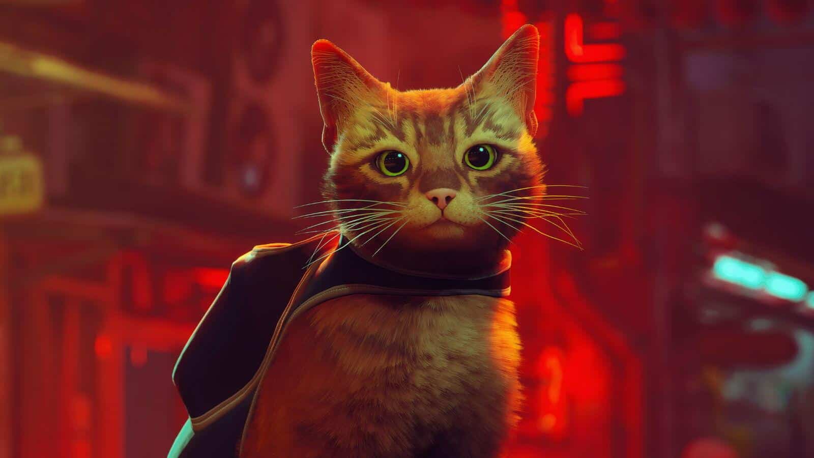 Stray Is Getting An Animated Movie Adaptation - Insider Gaming
